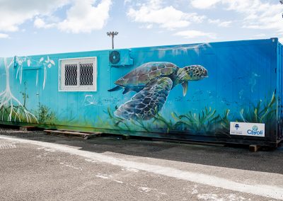 Cáyoli se dote d’une ferme d’élevage de poissons côtiers