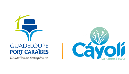 Launch of the Cáyoli program : promoting research and developing