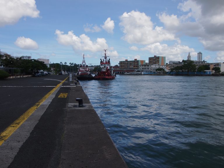 Monitoring : Suivi terrestre Pointe-à-Pitre