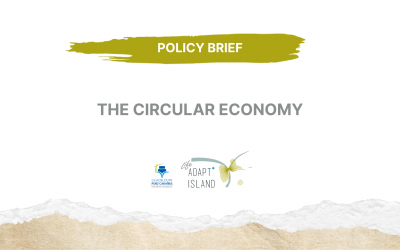 Policy Brief : The circular economy
