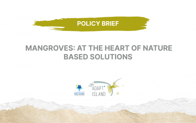 POLICY BRIEF :  MANGROVES: AT THE HEART OF NATURE BASED SOLUTIONS