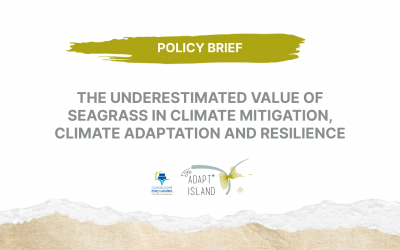 POLICY BRIEF : THE UNDERESTIMATED VALUE OF SEAGRASS IN CLIMATE MITIGATION, CLIMATE ADAPTATION AND RESILIENCE