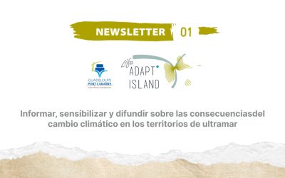 Newsletter 01 – Spanish version