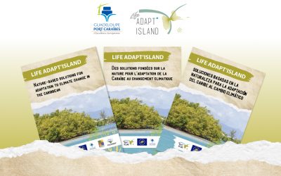 Brochures LIFE Adapt’Island