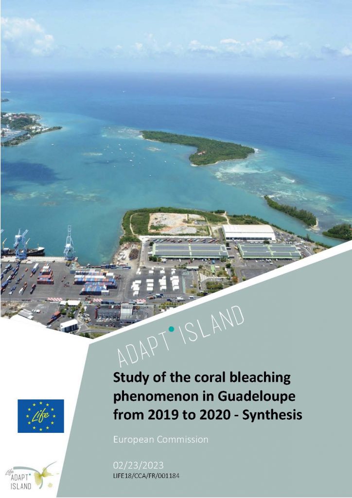 Study of the coral bleaching phenomenon in Guadeloupe