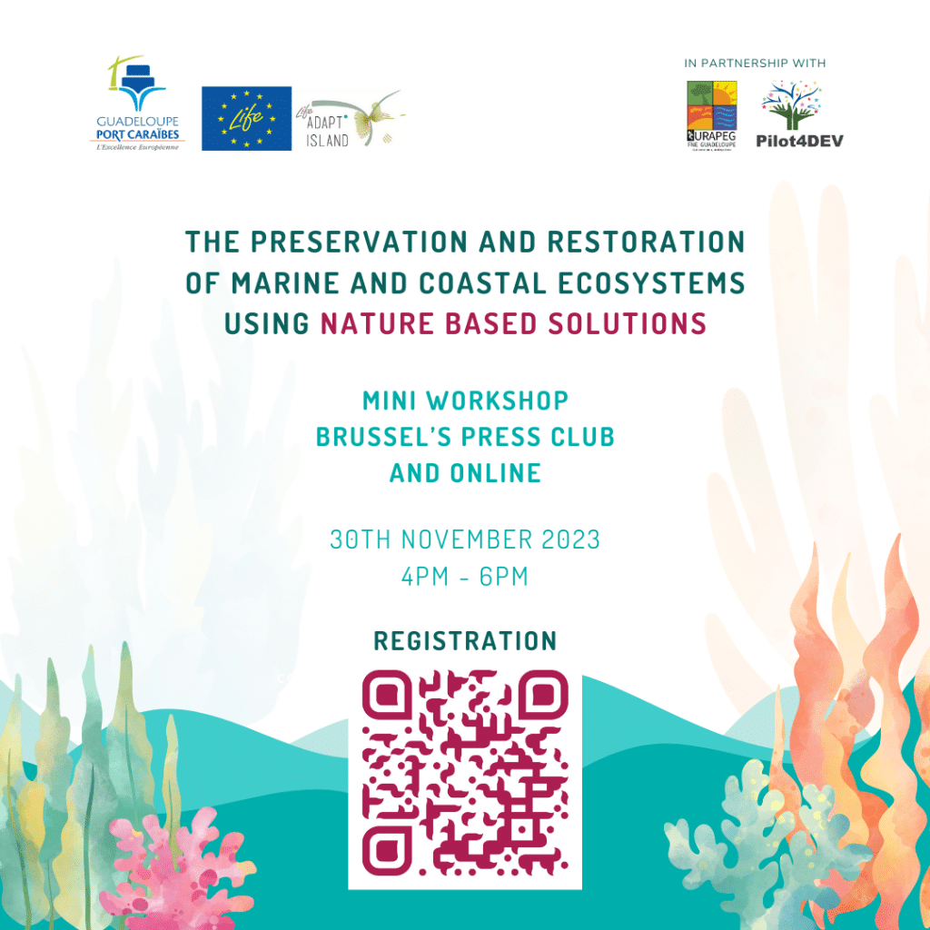 Mini workshop on preserving and restoring coastal and marine ecosystems