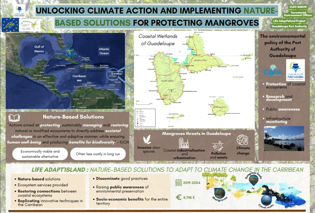 Conférence internationale sur les mangrove MMM6