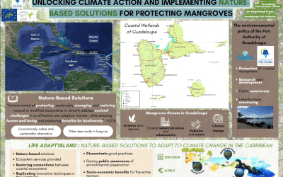 Conférence internationale sur les mangrove MMM6