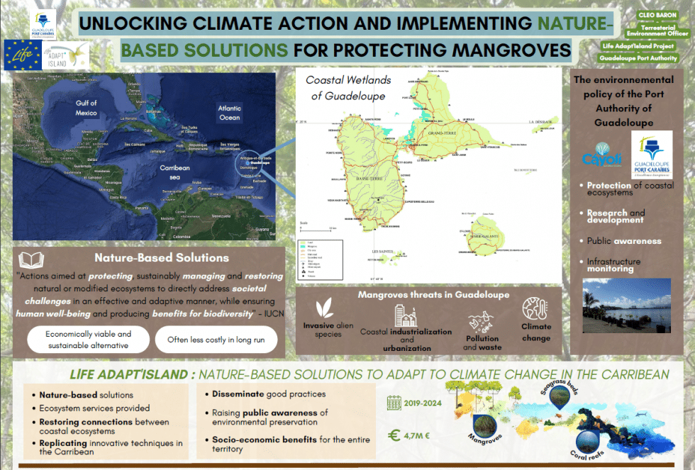 International conference on mangroves MMM6 Life Adapt Island Cáyoli