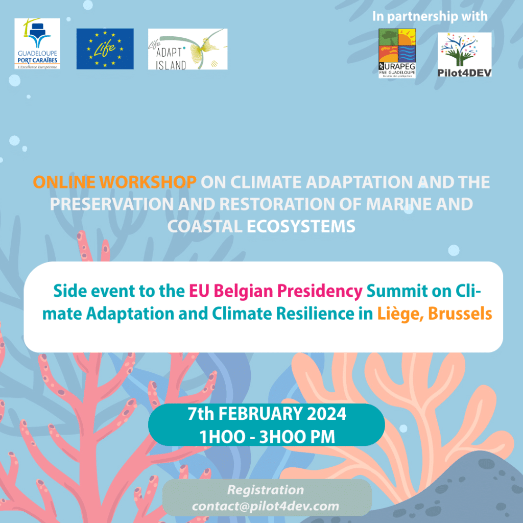 Le projet LIFE ADAPT’ISLAND organise en collaboration avec PILOT4DEV des ateliers hybride sur l’adaptation au climat et la préservation des écosystèmes côtiers