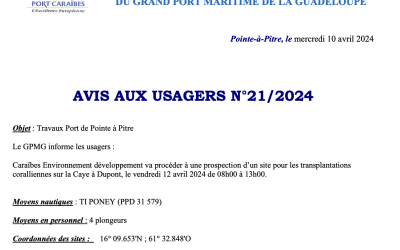 Avis aux usagers N°21/2024 – Prospection d’un site pour les transplantations Corallienne (12/04/2024)